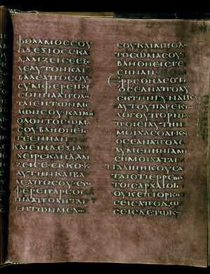 The purple Codex Rossanensis, 6th century (manuscript)