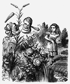 Lewis Carroll -