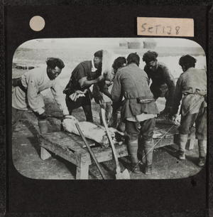 Butchers from Manipur preparing meat near Arras, 20 October 1917 (lantern slide)