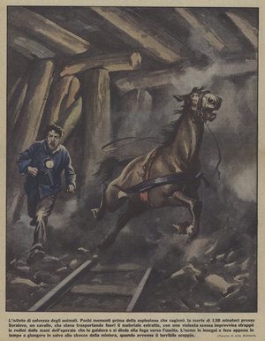 The survival instinct of animals (colour litho)