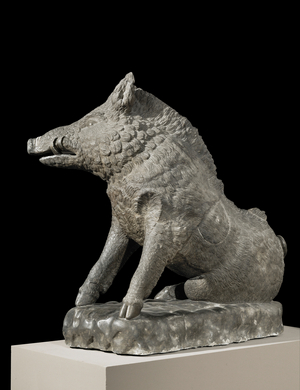 Wild boar …