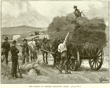 The Saving of Captain Boycott's Crops (engraving)