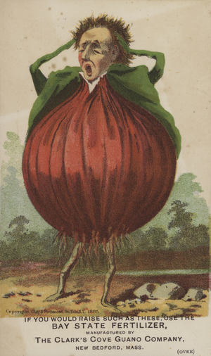 Anthropomorphic onion (chromolitho)