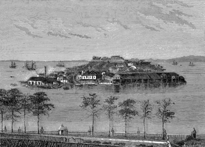 The snakes island in the bay of Rio de Janeiro in Brazil, engraving after Tirpenne, 19th century