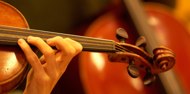 Violinist's hand on fingerboard.