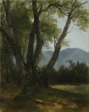 Shandaken, Ulster County, New York, 1854 (oil on canvas)