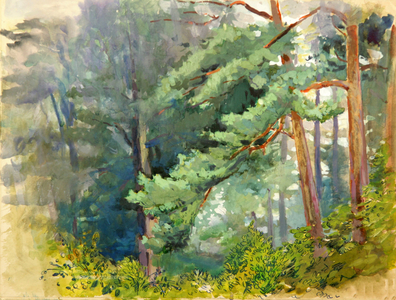 Spring in the Forest, 1968 (w/c on paper)