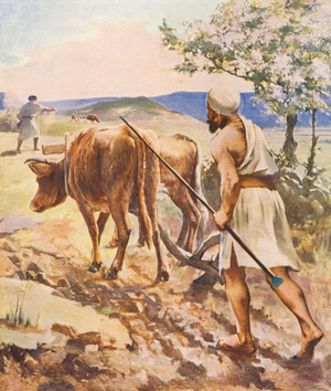 Holy Land: Ploughing near Nazareth (colour litho)
