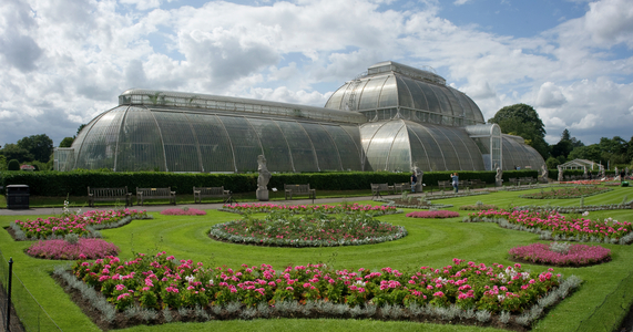 Exterior of the Palm House, 2010 (photo)