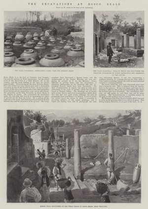 The Excavations at Bosco Reale (engraving)