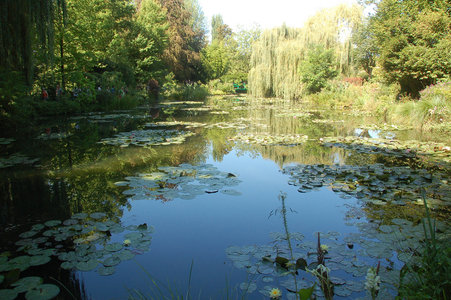 The garden of Claude Monet