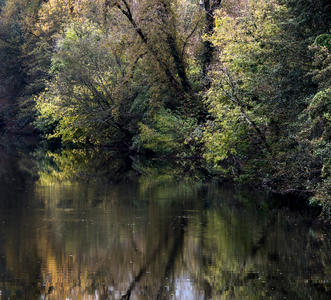 Laguepie (Tarn-et-Garonne) / The Viaur, autumn fog, 2024 (photo)