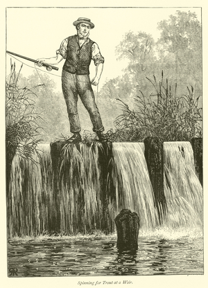 Spinning for Trout at a Weir (engraving)