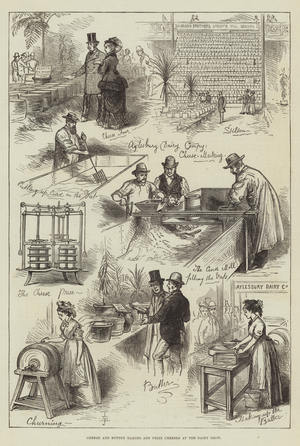 Cheese and Butter Making and Prize Cheeses at the Dairy Show (engraving)