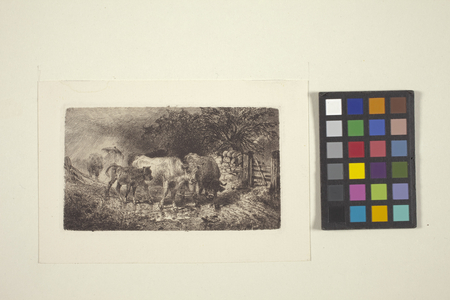 Showery Weather (ink)