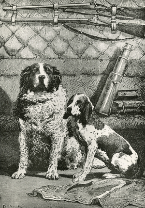 Dogs Diane and Satellite inside the space capsule on the journey to the Moon. From ''Autour de la Lune'', Paris, 1885, bu Jules Verne.