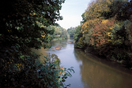 Neiße near Bad Muskau, landscape, symbolic photo; 2000, water, Neiße floodplain ..., 2000 (photo)
