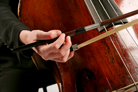 Detail of double bass bow grip