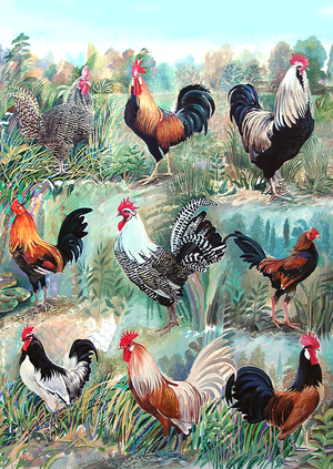 Cockerels Card, 2009 (oil on canvas )