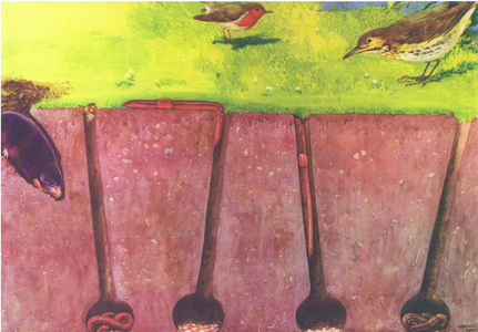 Earthworms, From a Folio of Colour school posters, c.1940-1950 (colour litho)