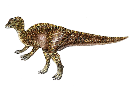 Kritosaurus (colour litho)