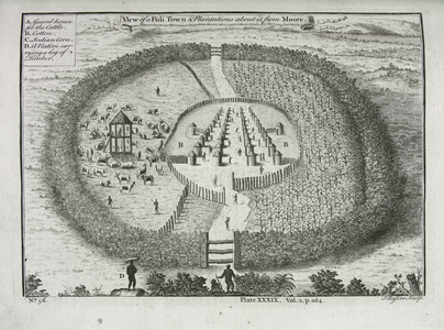 Illustration of slave plantation. From a book abotu the slave trade.
