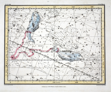 The Constellations (Plate XXII) Pisces, from 'A Celestial Atlas' by Alexander Jamieson, pub. London 1822 (hand coloured engraving)