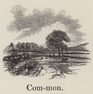 Common (engraving)