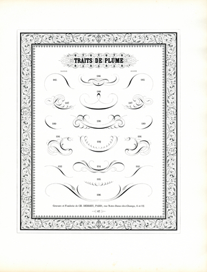 Calligraphic Pen Flourishes with Floral Border (print)