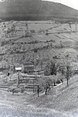 An excursion to the Black Forest, Germany 1930s (b/w photo)