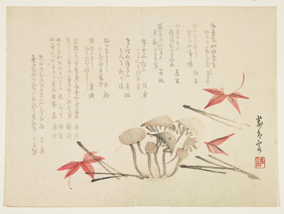 Mushrooms, maple leaves and pine needles (colour woodblock print)