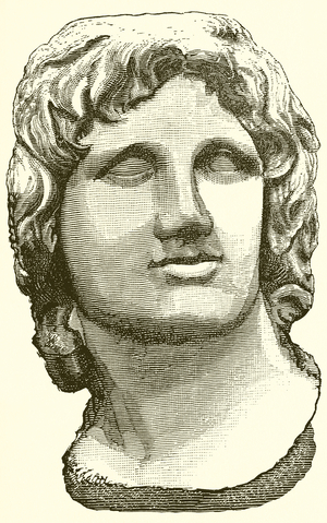 Bust of Alexander the Great (engraving)