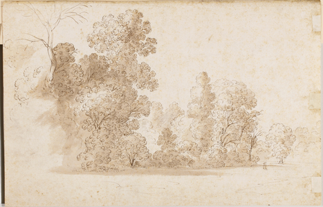 A wooded landscape (black chalk, pen & brown ink, brown wash, & brown ink on paper)
