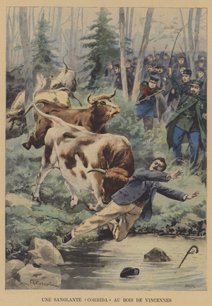 Bulls on the loose in the Bois de Vincennes, Paris (colour litho)