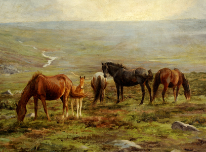 Horses grazing on Moorland (oil on canvas)
