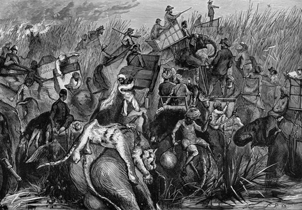 Prince of Wales standing on an elephant he has killed