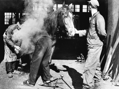 Farrier, 1949 (photo)