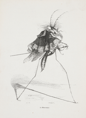Le misocampe'.
Anthropomorphic image of a mosquito, holding a sword.