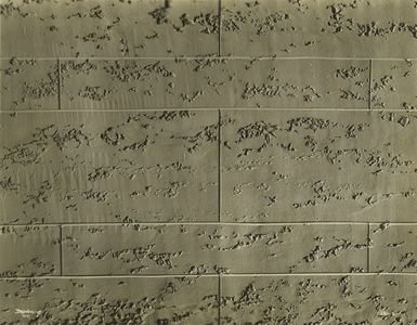 Wall Texture, USA, c.1920-38 (gelatin silver photo)