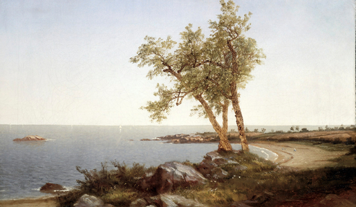 Coastline with trees