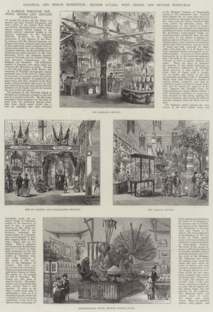 Colonial and Indian Exhibition, British Guiana, West Indies, and British Honduras (engraving)