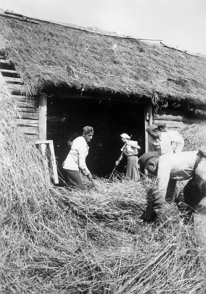 German soldier with a peasant girl haymaking behind the Eastern Front, 1942 (b/w photo)