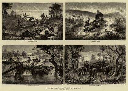 Seven Years in South Africa (engraving)