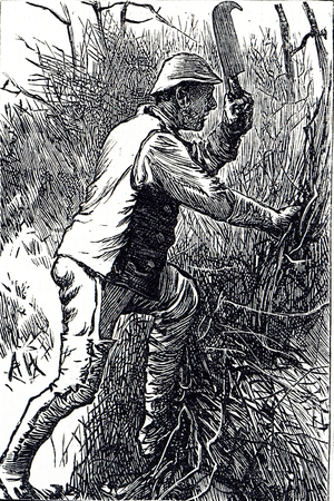 Engraving depicting hedging, 19th century
