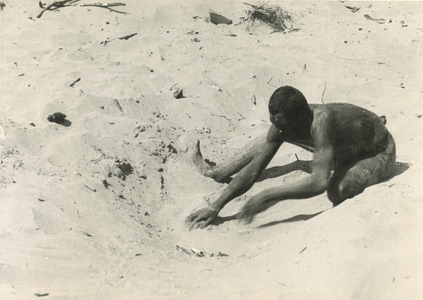 Man digging in sand on the beach, USA, c.1920-38 (gelatin silver photo)