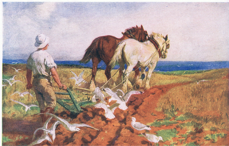 Behind the plough, illustration from My Magazine (Arthur Mee), c.1920-30 (colour litho)