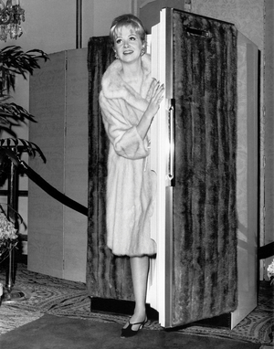Mink Keeps Warm And Cold, New York, New York, March 14, 1966 (b/w photo)