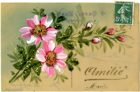 Postcard (hand coloured photo)