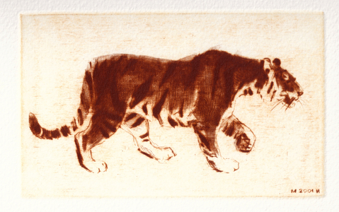 Siberian tiger, or Amurian tiger (Panthera tigris altaica), 2001 (drypoint)