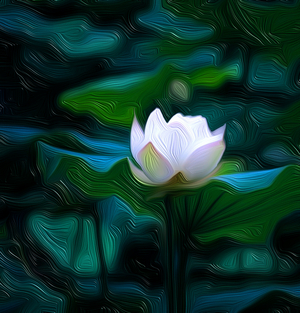 White Lily, 2021, (digital)